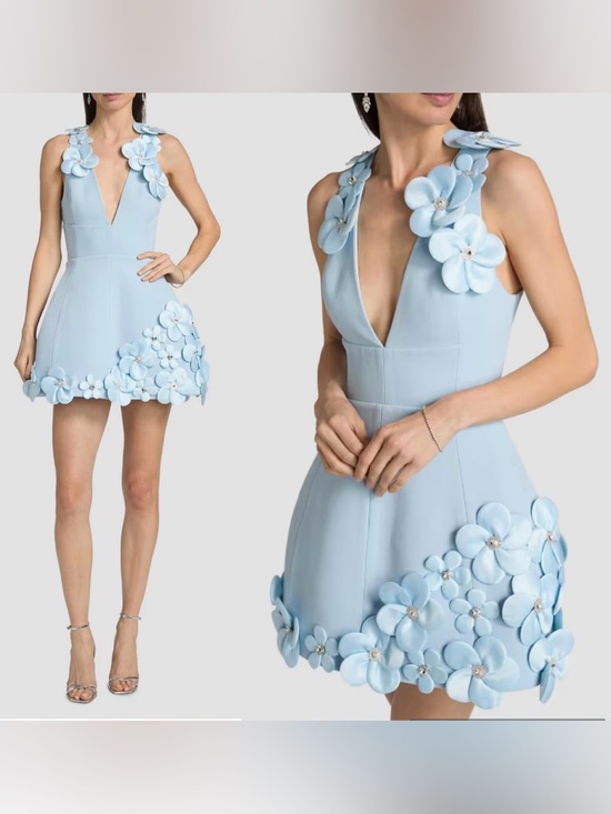 Bronx and Banco Dresses & Skirts - NWOT Bronx And Banco Estelle Floral Applique Fit-&-Flare Mini Dress. Size S